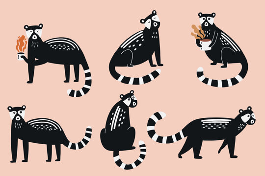 Collection cute Asian animals Kopi Luwak. Set Civet palm cat cute character. Hand drawn kids vector illustration in doodle style