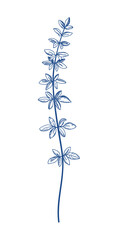 Fototapeta na wymiar Foliage. Plant. Blue. Botanical illustration. Art line style.