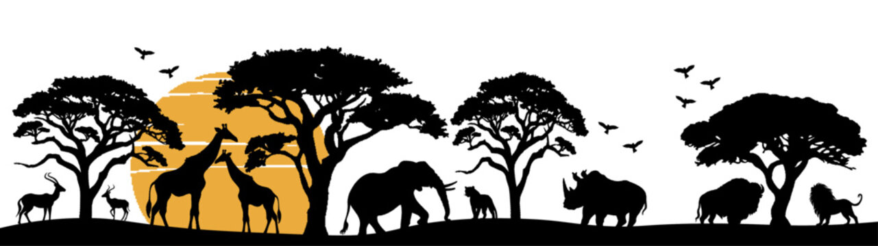 Africa Safari Savanna landscape background banner panorama for logo - Black silhouette of wild animals, trees and sun, isolated on white background