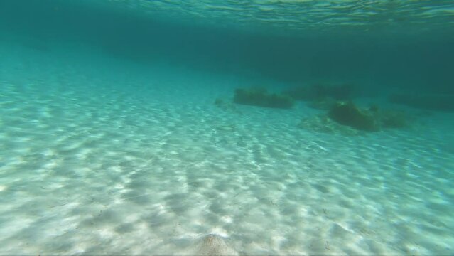 Slow motion video of underwater environment. Holes of tubular sedentary polychaetes on a sandy bottom.