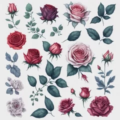Tuinposter An illustration clip art of a watercolor rose with assorted designs © อภิชา จิรัมย์