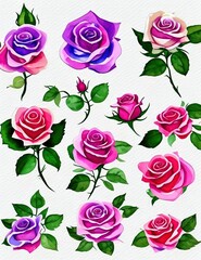An illustration clip art of a watercolor rose with assorted designs
