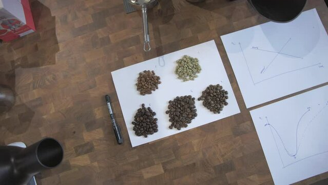 Coffee beans organized in piles next to graphs on paper on modern wooden tile table