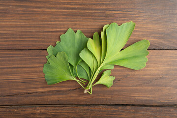 Fresh ginkgo biloba leaves on wooden background. Traditional, herbal medicine and Homeopathy concept.