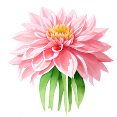 Watercolor illustration of a dahlia flower on a white background. Generative AI