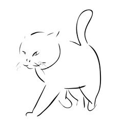 Walking cat portrait drawn in ink, vector illustration, quick sketch, line art