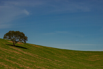One lookalike with windows, but in Alentejo, Portugal. The beautiful nature, always surprising us,...