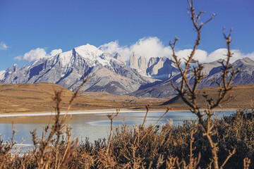 Laguna Amarga, mountains in the national park Chilean Patagonia Torres de Paine, dry branches