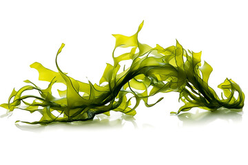 Kelp seaweed or kelp seedling, highlighted on a white background. Generative AI illustration