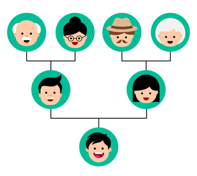Genogram in cartoon style. Family tree chart. Genealogy tree structure. Can be used for ancestry heritage research, medical history, systematic constellation. Three generations. Vector illustration.