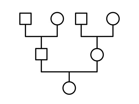 Genogram. Family tree chart. Simple diagram showing family members. Genealogy tree structure. Can be used for ancestry heritage research, medical history, systematic constellation. Vector illustration
