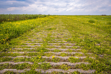 Seemingly endless path in a rural setting