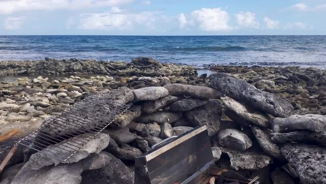 Beach cooking fresh fishes caught sustainable fishing, fire BBQ leisure activity