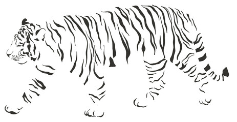 tiger safari animal jungle park tropic Africa savanna graphic art line print clipart scrapbooking sketch wild nature  