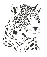 leopard safari animal jungle park tropic Africa savanna graphic art line print clipart scrapbooking sketch wild nature  