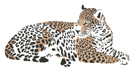 leopard safari animal jungle park tropic Africa savanna graphic art line print clipart scrapbooking sketch wild nature  
