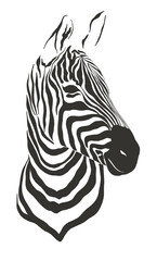 zebra safari animal jungle park tropic Africa savanna graphic art line print clipart scrapbooking sketch wild nature  