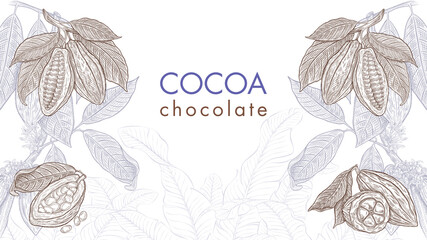 Cocoa, chocolate frame. Sketch of cocoa plants. Hand drawn illustration. Art hand drawn botanical tree, bean, tropical fruit, foliage. Organic sweet food, aroma drink, natural chocolate. - 601027168
