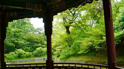 Fototapeta premium A pavilion sponsored by Changdeokgung Palace, a cultural property of Korea