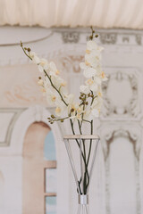 Wedding. Floristics. The banquet hall is decorated with compositions of white flowers and greenery