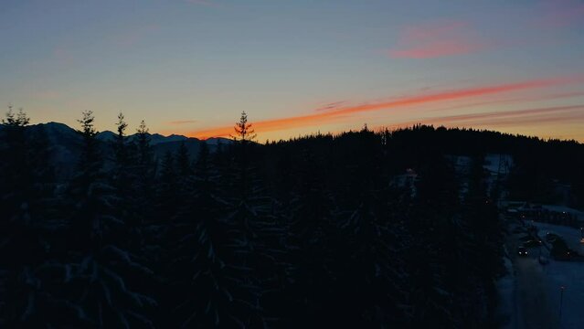 Drone Aerial Sunset Silhouette Pine Trees Winter Shot 