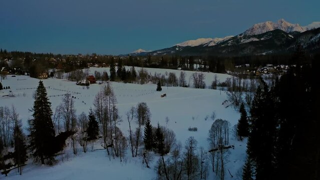 Aerial Drone landscape during blue hour with Traditional Polish Horse Sleigh ride 