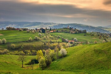 Beautiful countryside around Hrinova city with green fields, blooming cherry trees and white church on the top of th hill. Amazing spring landscape of Podpolanie region, Slovakia.  © Ivan