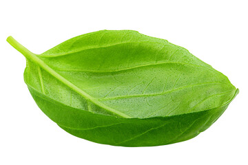 Obraz premium basil, isolated on white background, full depth of field