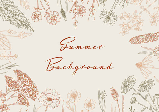 Hand drawn summer horizontal wildflowers design. Vector illustration in sketch style. Meadow flowers aesthetic background