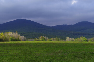 Krajobraz pięknych, zielonych gór wiosną. Świeża zieleń i niskie chmury nad górami Vihorlat w Wschodniej Słowacji. - obrazy, fototapety, plakaty