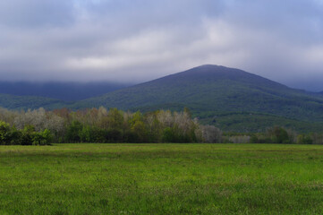 Krajobraz pięknych, zielonych gór wiosną. Świeża zieleń i niskie chmury nad górami Vihorlat w Wschodniej Słowacji. © Adam Sadlak