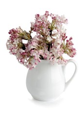 posy of pink  viburnum farreri flowers in small ceramic vase close up