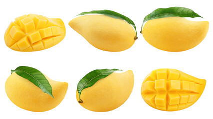 Fototapeta na wymiar yellow Mango isolated on white background, full depth of field