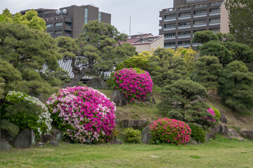 ツツジがある庭園