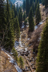 Beautiful mountain gorge in Almaty, Kazakhstan. Rocky plateau. Mountain river. Pine forest in the gorge. Stone riverbanks