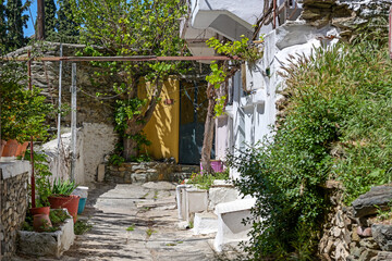 Fototapeta na wymiar Narrow backyard in Ani Poli, the historic upper old town of Thessaloniki in Greece, decoration with potted plants on the stone paved ground and wine on the facades