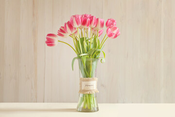 pink tulips on beige background in a gentle embrace. spring blurring bright vioplet flowers