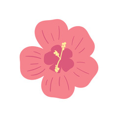 Tropical Flower Summer Tropical Beach Element