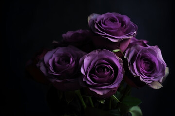 Purple roses dark moody romantic background. Close-up flowers card backdrop. Ai generated.