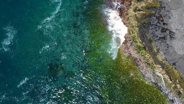 Aerial drone bird's-eye shot of surfers on rocky reef landscape scenic travel tourism seaweed waves view South Coast NSW Australia 4K