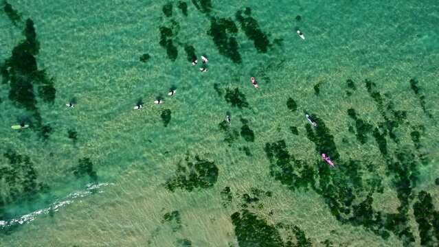 Aerial drone shot of clear water surfers surfing surfboarf ocean reef sand bar algae beautiful swimming paddle beach Merewether Bar Beach NSW Newcastle 4K Australia