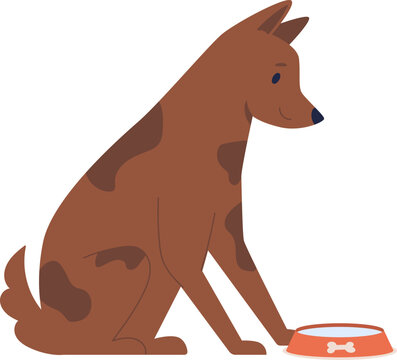 Vector dog drinking from the water bowl isolated. Domestic or homeless animal. Cute vector character. Vet, rescuing, adoption. Vector illustration for pet shop, animal food, accessories and toys store