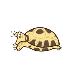 　【リクガメイラスト】ロシアリクガメ/ホルスフィールドリクガメ/ヨツユビリクガメ