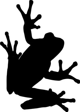 vector of a illustration of a silhouette of a frog 