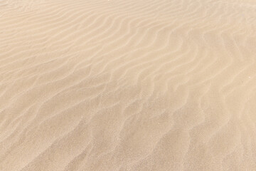 Fototapeta na wymiar Sandy beach pattern texture background