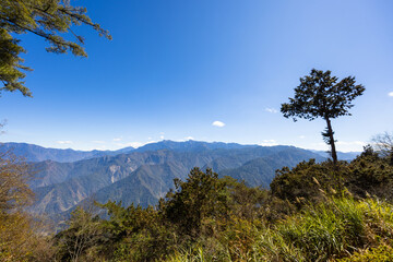 Fototapeta premium Beautiful scenery landscape in Alishan national forest recreation area in Taiwan