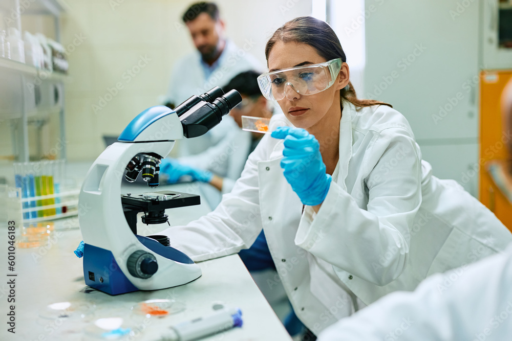 Wall mural young female scientist analyzing test sample while working with microscope in lab.