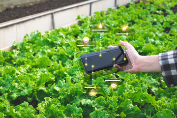 Concept of Technology with Nutrients mineral in soil, Light, water and plant with quality control. Digital icon of agricultural and fertilizer. Smart farm application. Biotechnology.