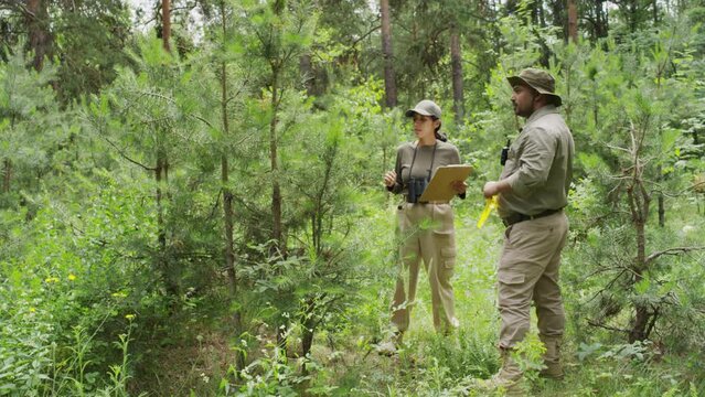 Full shot of two diverse male and female rangers in khaki uniforms inspecting young pines in nature reserve and talking, woman writing in chart on clipboard, and man holding measuring tape