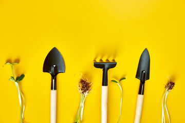 Flat lay gardening tools and greens on yellow background, Spring garden works concept, Copy space for text, top view - obrazy, fototapety, plakaty